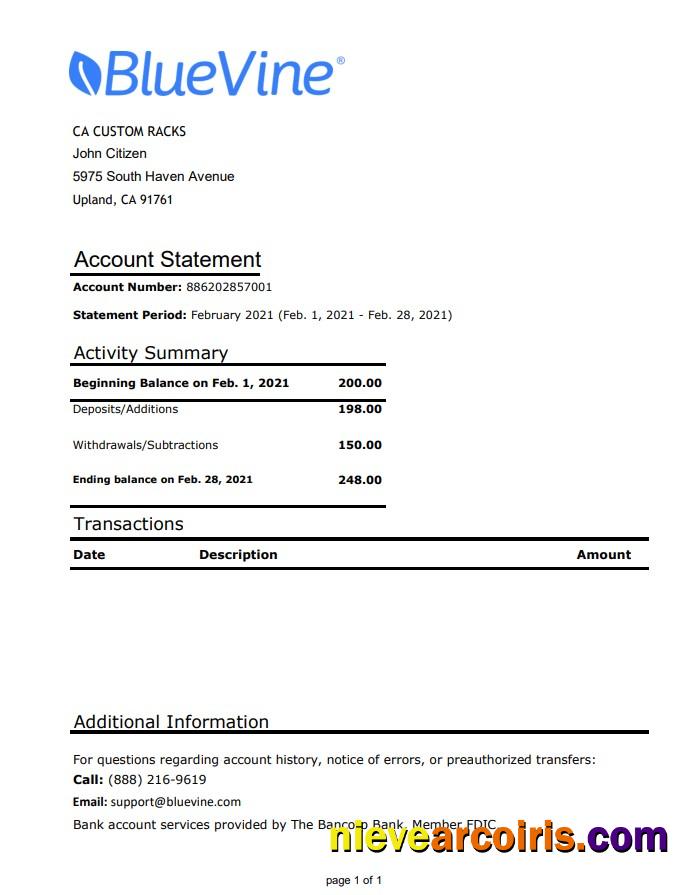 USA California BlueVine bank statement easy to fill in .xls and .pdf file format